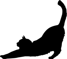 Cat Stretch